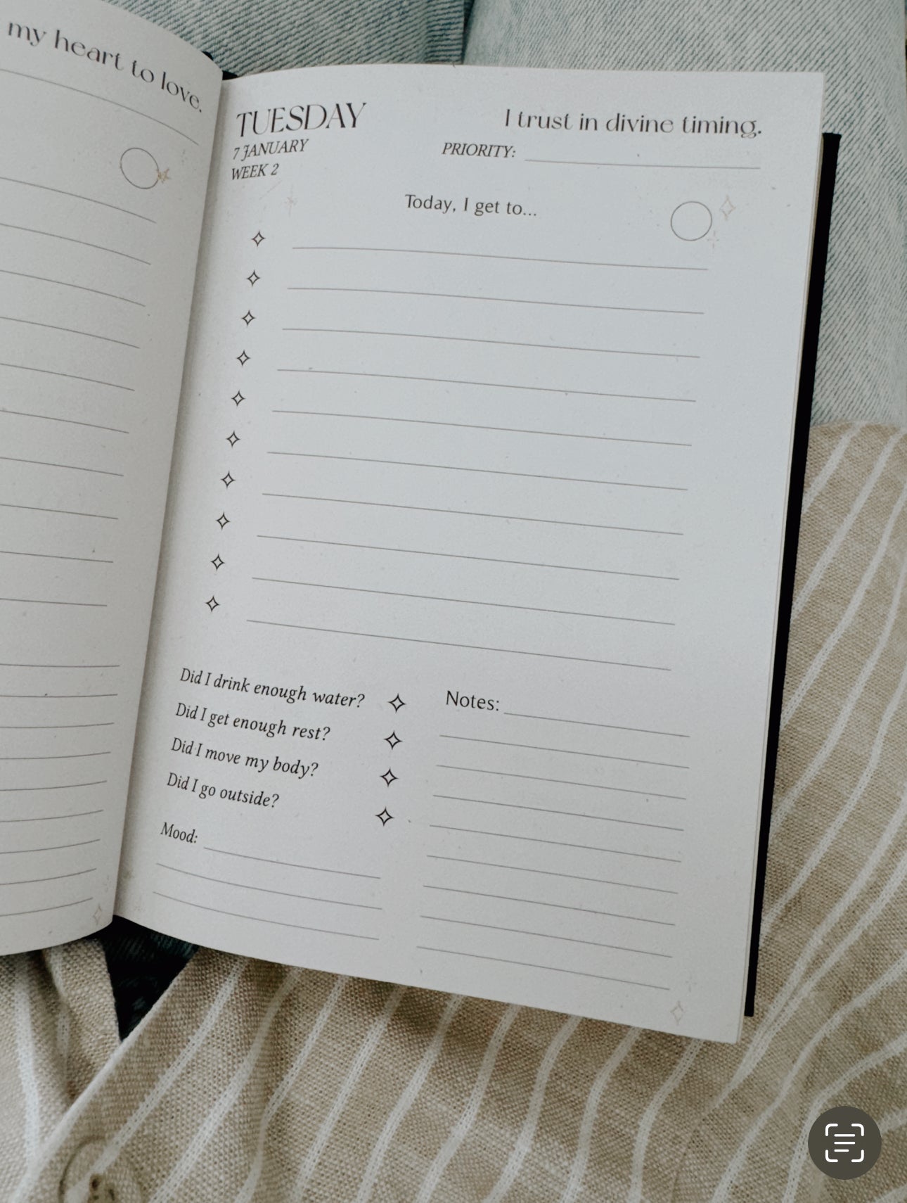 Dreamy Moons 2025 Daily Planner