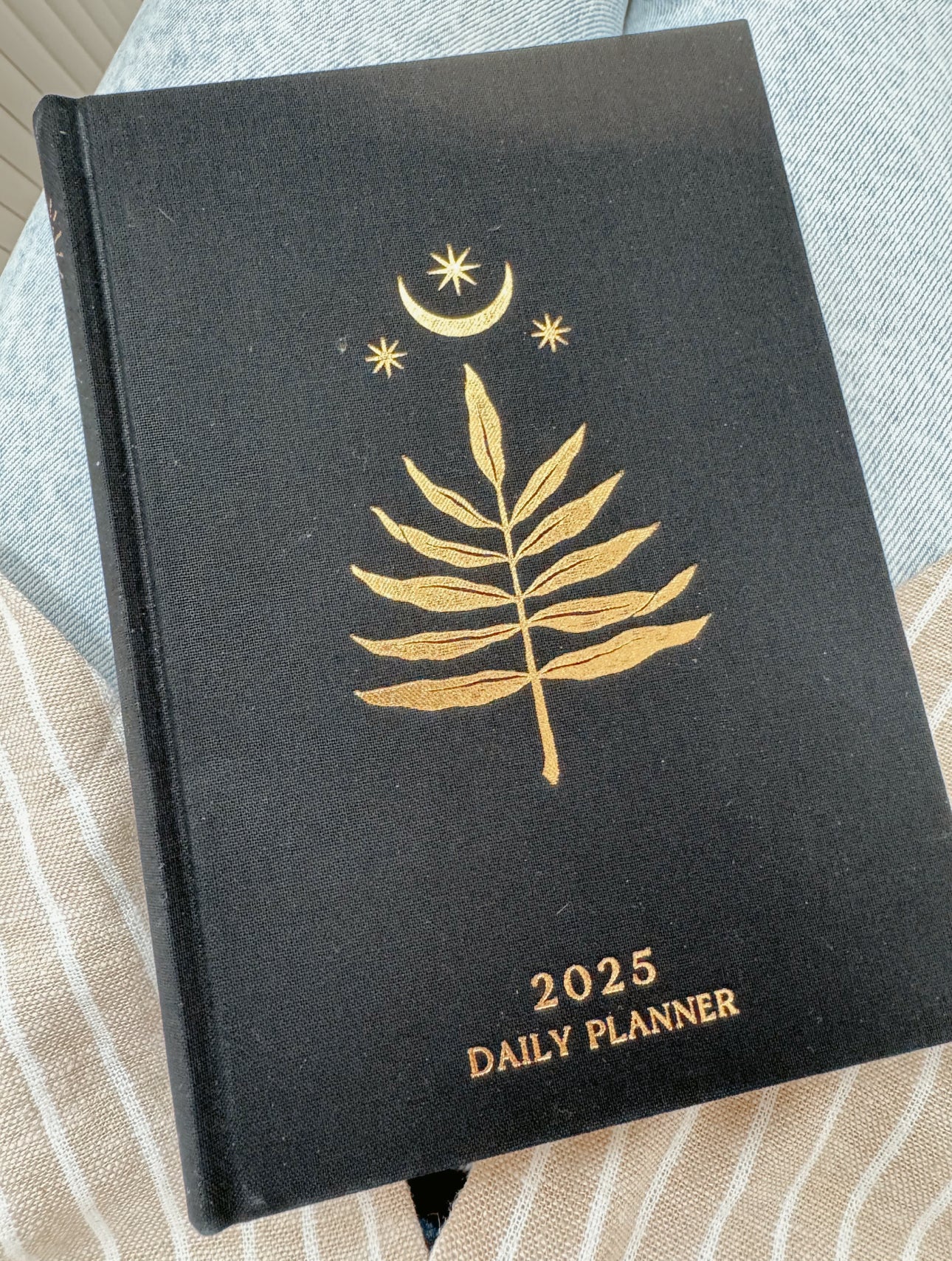 Dreamy Moons 2025 Daily Planner