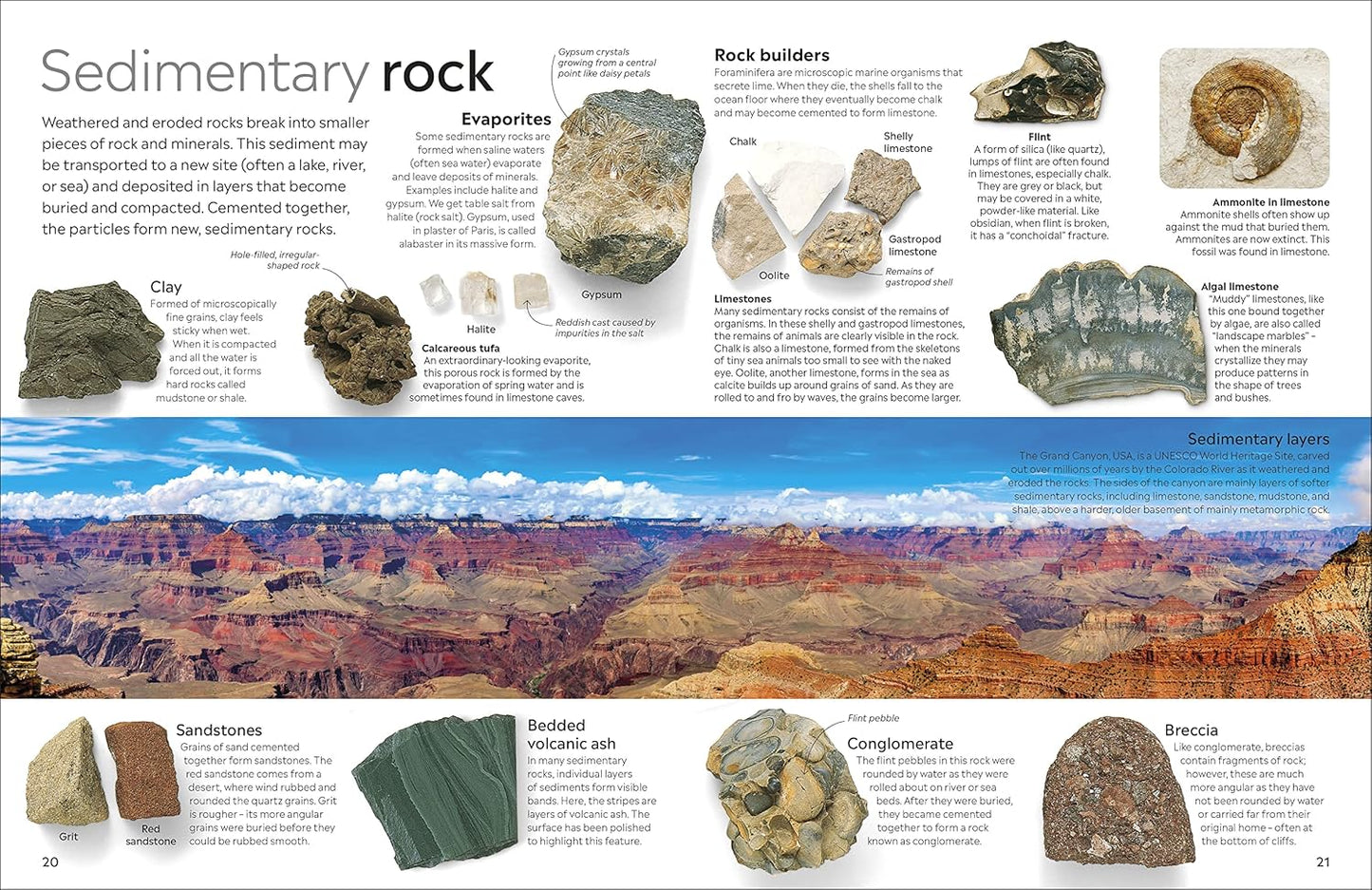 Rock & Mineral Book